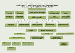 Структура управления ОУ